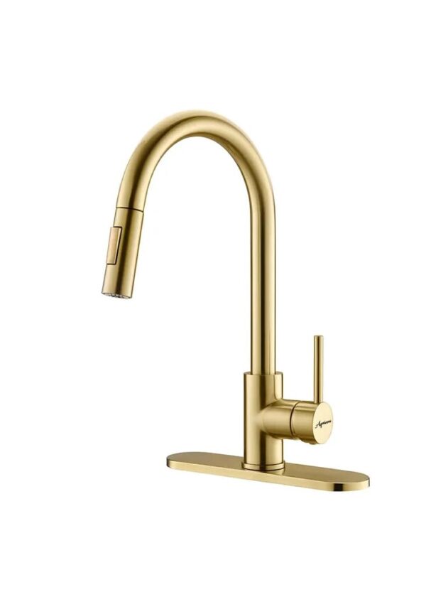 Aquieen Pull Out Kitchen Sink Mixer with Connecting Hoses (Slim - Brushed Gold)