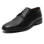 LOUIS STITCH Men's Italian Leather Shoes Handmade Formal Lace Up Derbies for Men (RXPL)