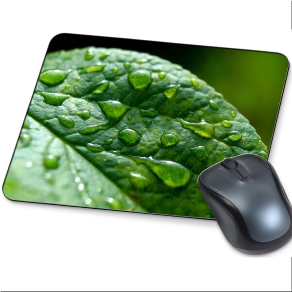 ApjGifts Anti Slip Round Edge Rubber Base Gaiming Mouse Pad for Pc, Laptop, Desktop for Office, Home Use Mate Finish Multicolour Nature (Design 2)